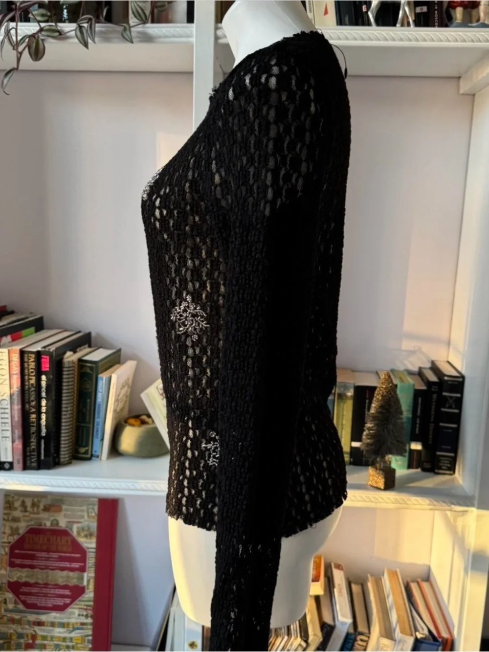 Zara sheer open